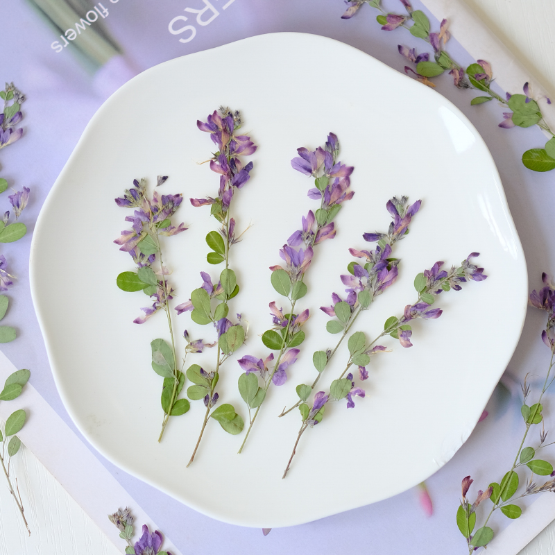 6個入り、天然レスペデザのドライプレスフラワー、植物標本絵画 - Resin Art And Jewelry のレビューと価格